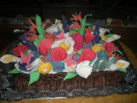 /album/fotogaleria-fotogaleria/copia-de-dscn4544-jpg/